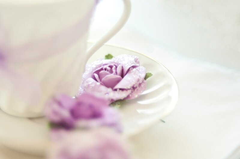 Purple Rose on Saucer