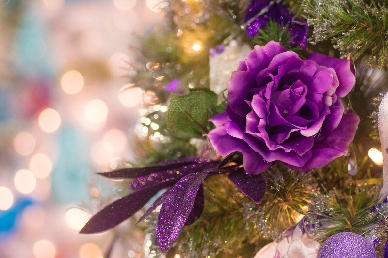 Purple Rose on Tree