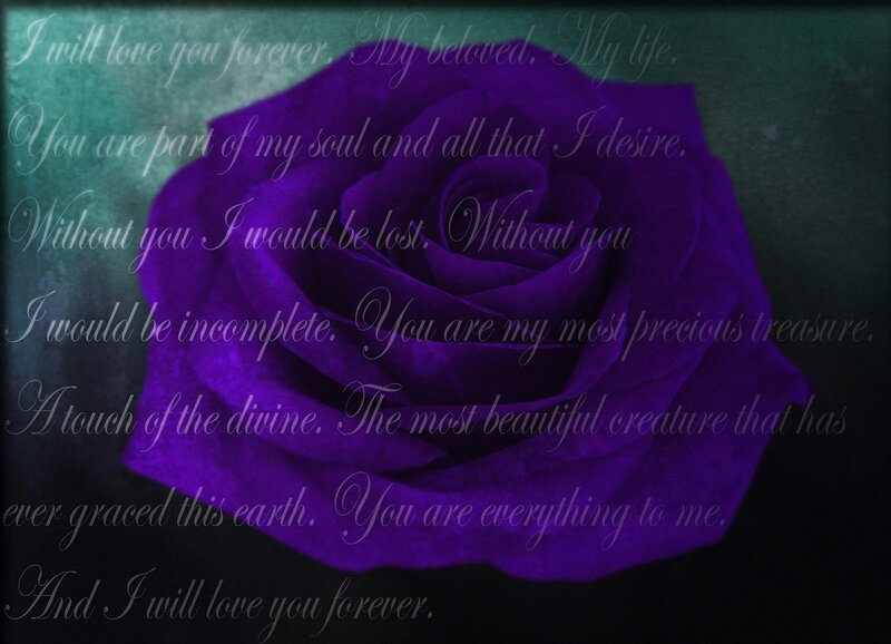 Purple Rose — Romantic