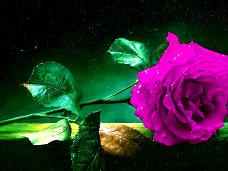 Purple Rose Underwater