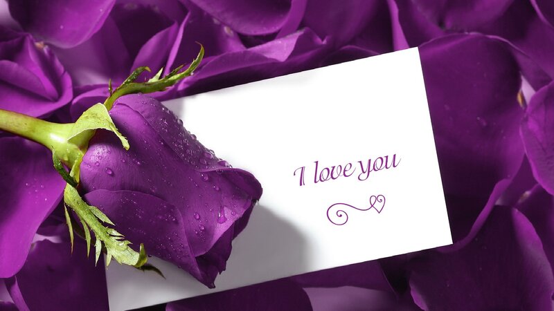 Purple Rose with Card