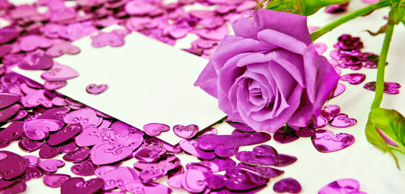 Purple Rose with Confetti — Romantic