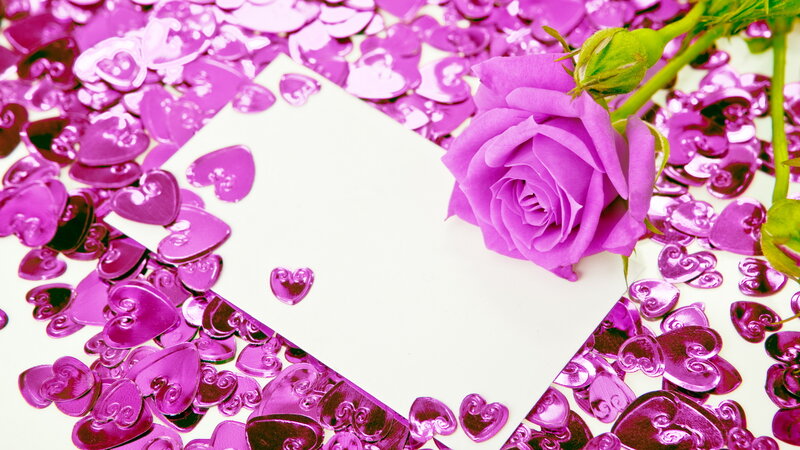 Purple Rose with Confetti