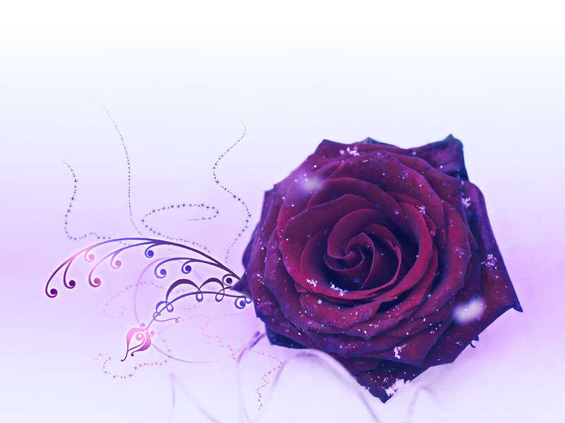 purple rose with decorative swirls