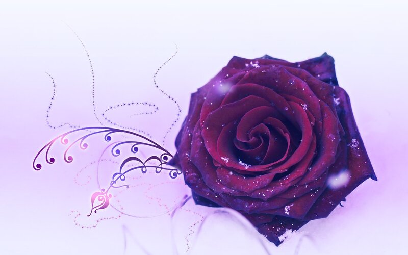 purple rose with decorative swirls