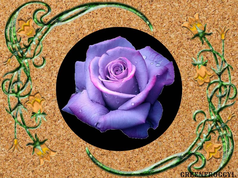 Purple Rose with Dew — Serene, Digital Art