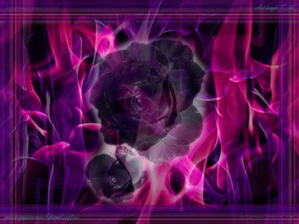 purple rose with flames
