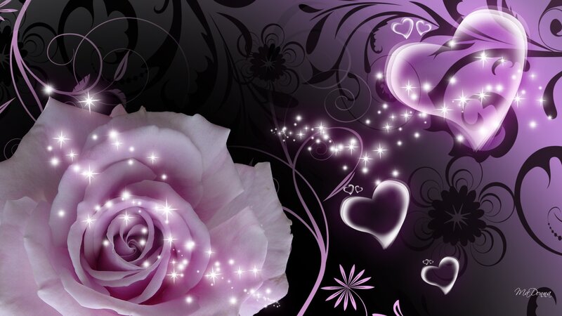Purple Rose with Hearts — Romantic
