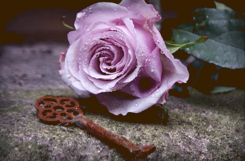 Purple Rose with Key