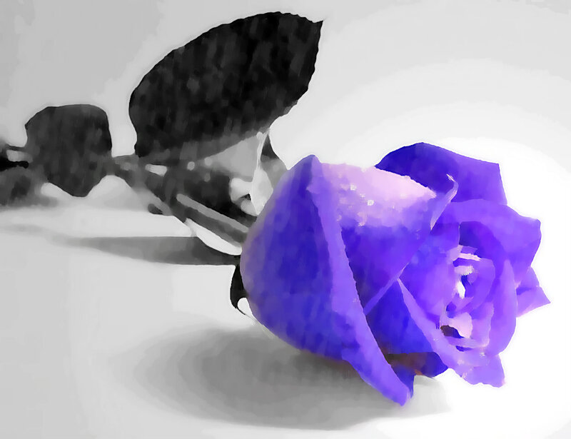 Purple Rose with Leaves — Calm, Digital Art