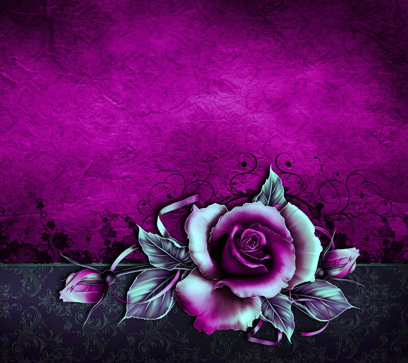 Purple Rose with Leaves — Dramatic