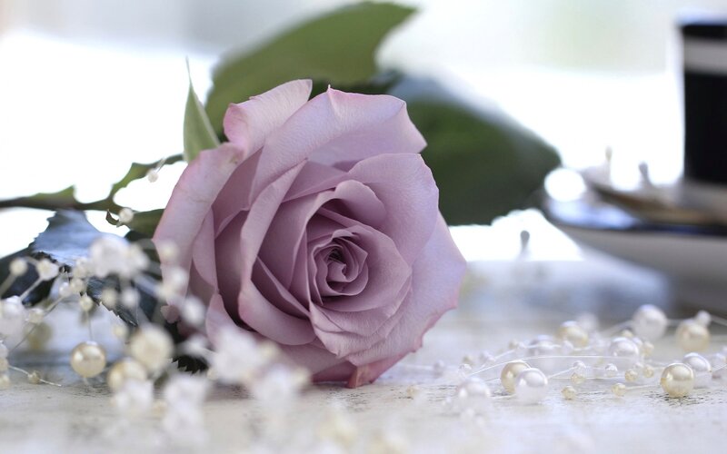 Purple Rose with Pearls
