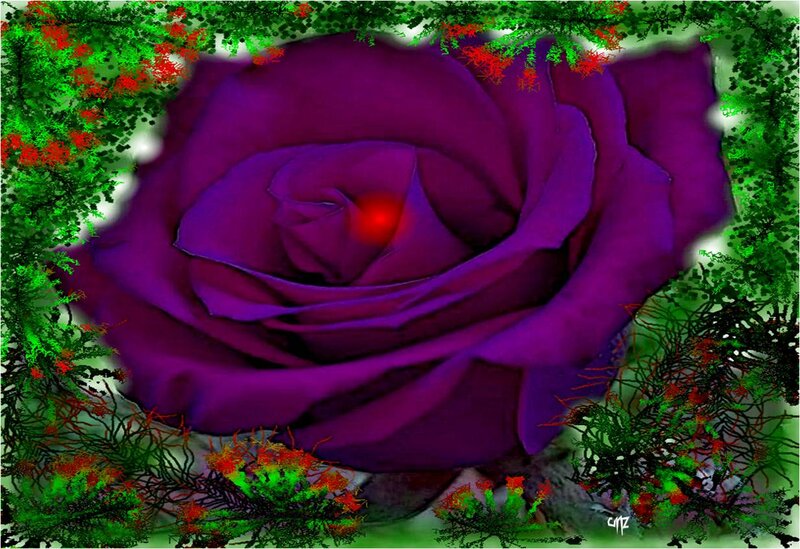 Purple Rose with Red Center