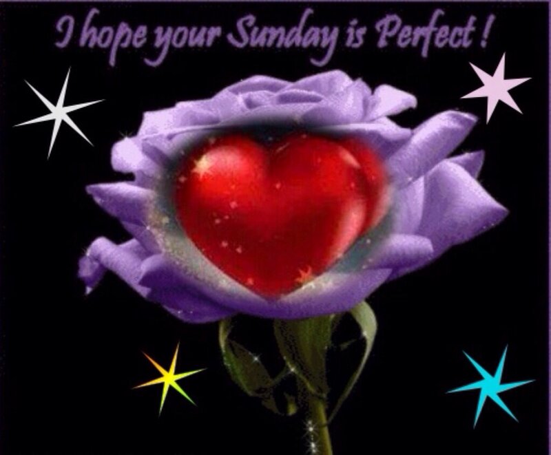 Purple Rose with Red Heart