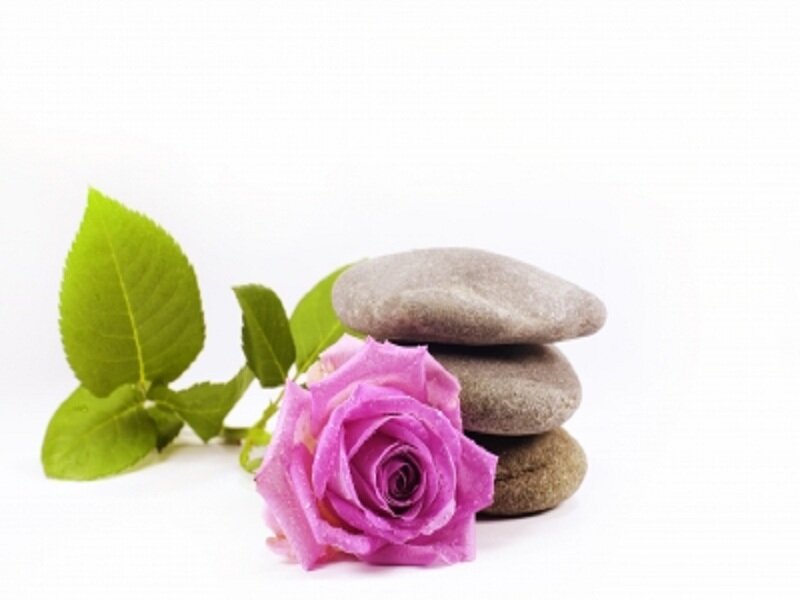 Purple Rose with Stones