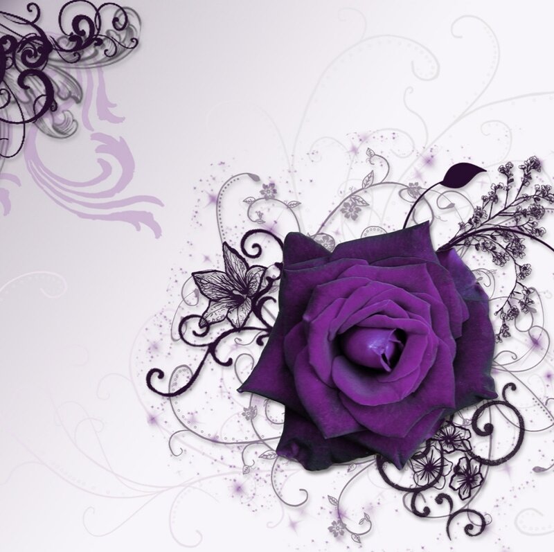 Purple Rose with Swirls — Elegant