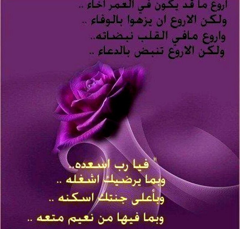 Purple Rose with Text — Reflective