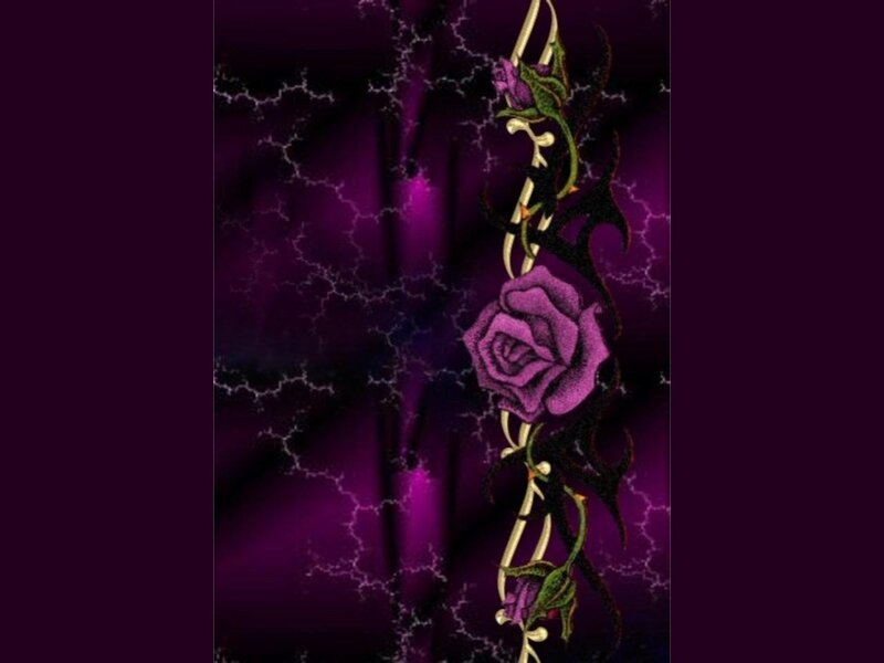 Purple Rose with Thorns