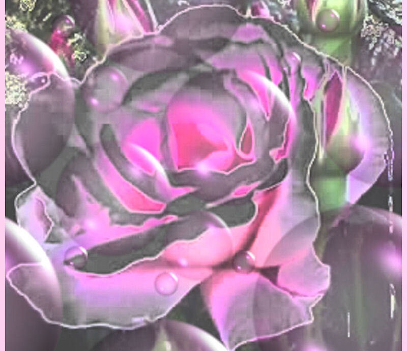 Purple Rose with Water Droplets — Dreamy, Digital Art