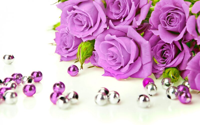 Purple Roses and Beads — Calm, Photograph