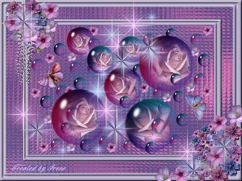 purple roses and butterflies