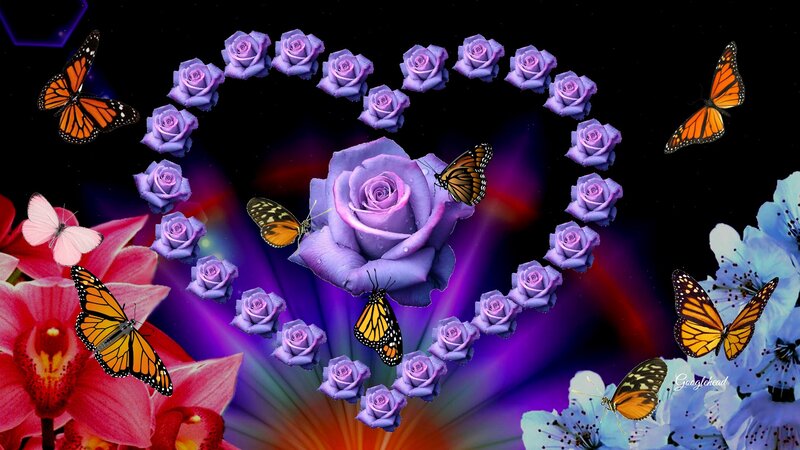 Purple Roses and Butterflies — Dreamy