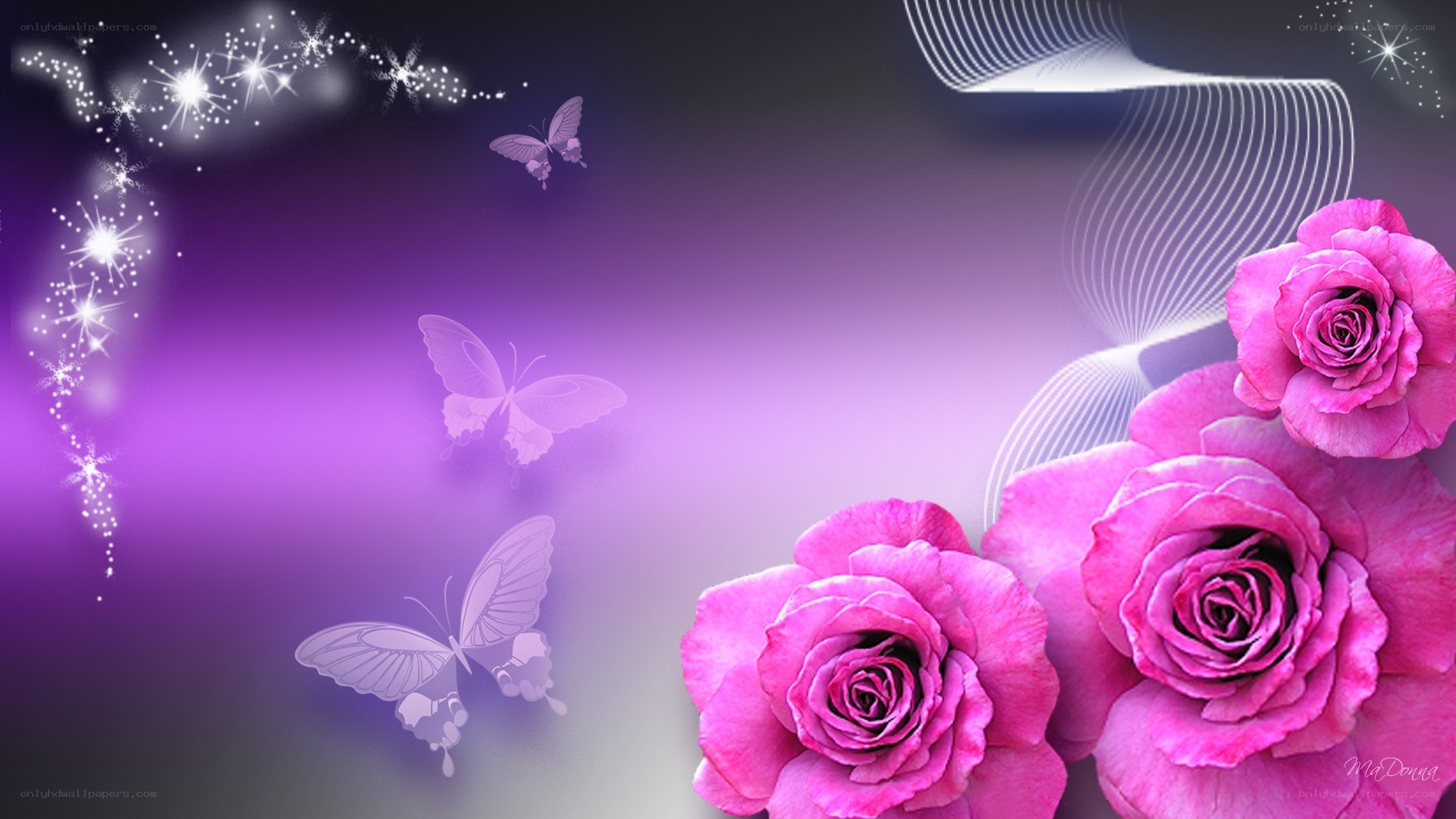 purple roses and butterflies