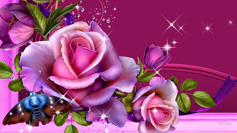 Purple Roses and Butterfly — Festive
