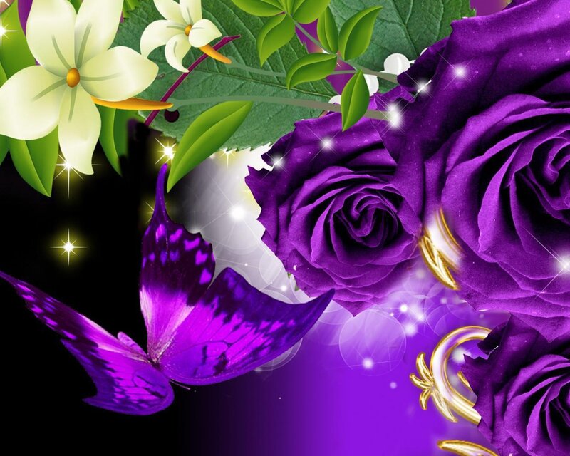 Purple Roses and Butterfly — Magical, Night