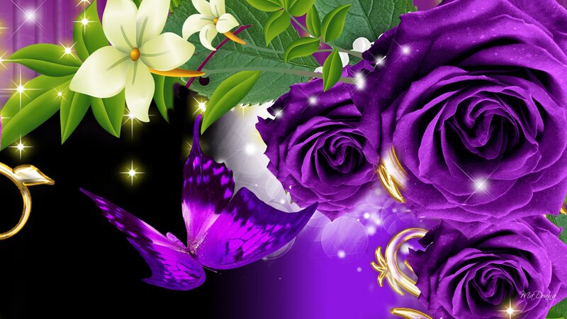 Purple Roses and Butterfly — Magical