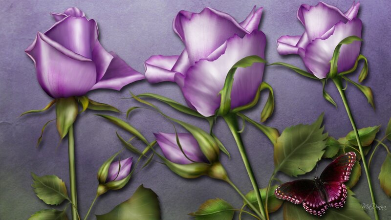 Purple Roses and Butterfly — Serene