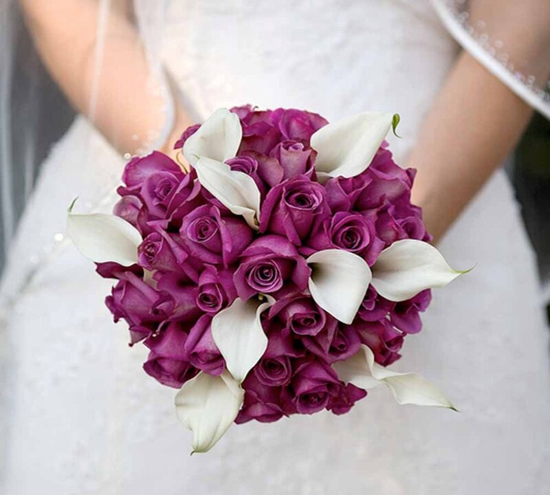 Purple Roses and Calla Lilies