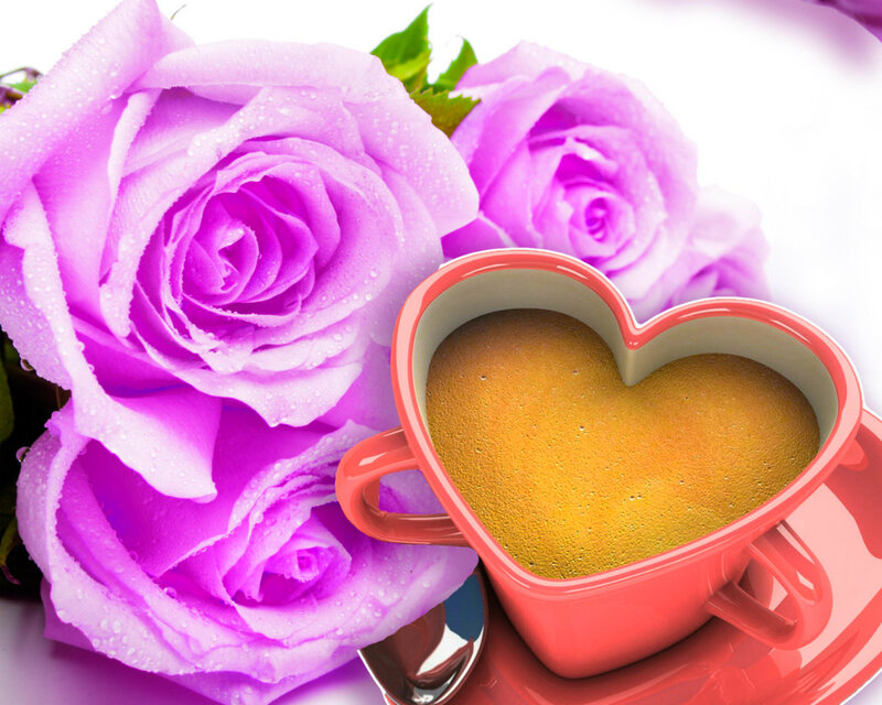 Purple Roses and Coffee Cup