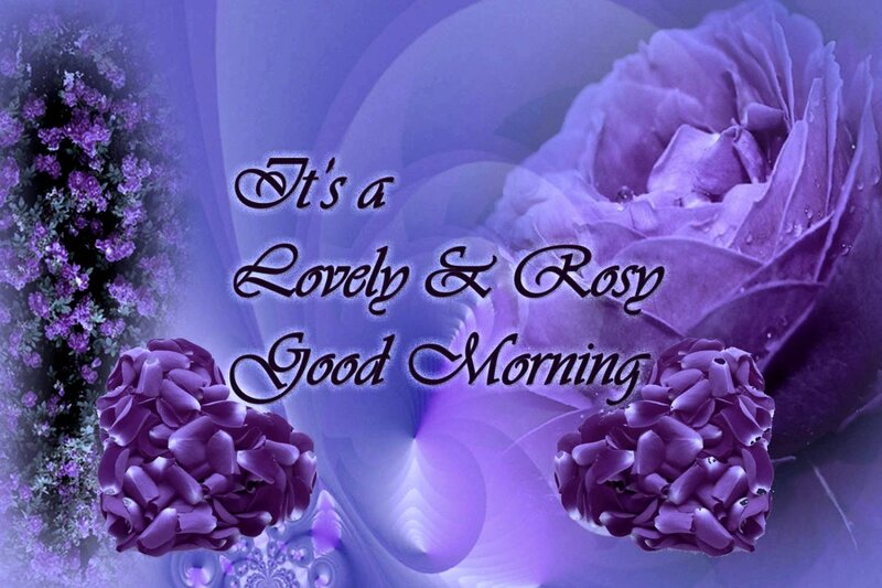 Purple Roses and Flowers