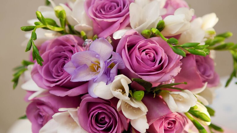 Purple Roses and Freesias — Calm