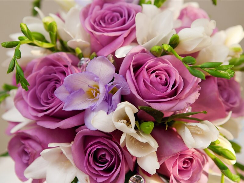 Purple Roses and Freesias