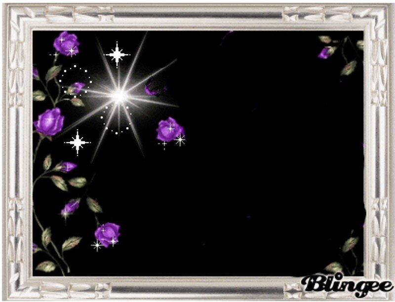 Purple Roses and Stars