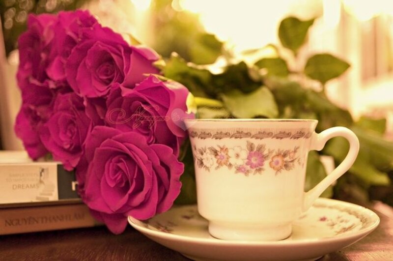 Purple Roses and Teacup
