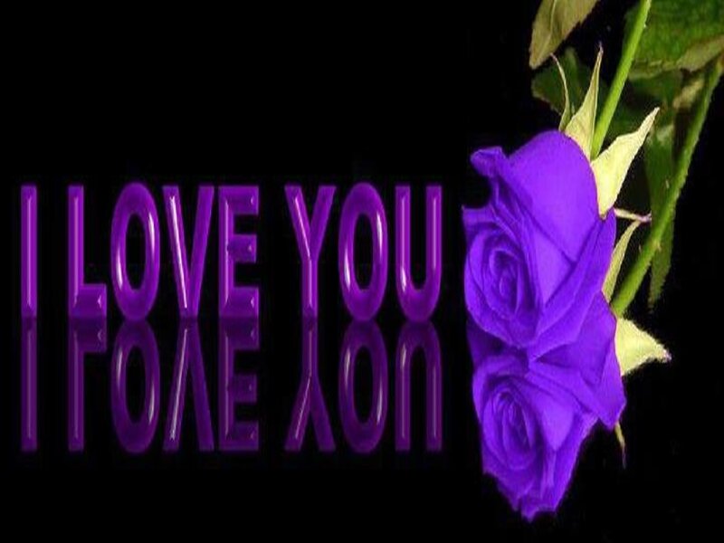 Purple Roses and Text