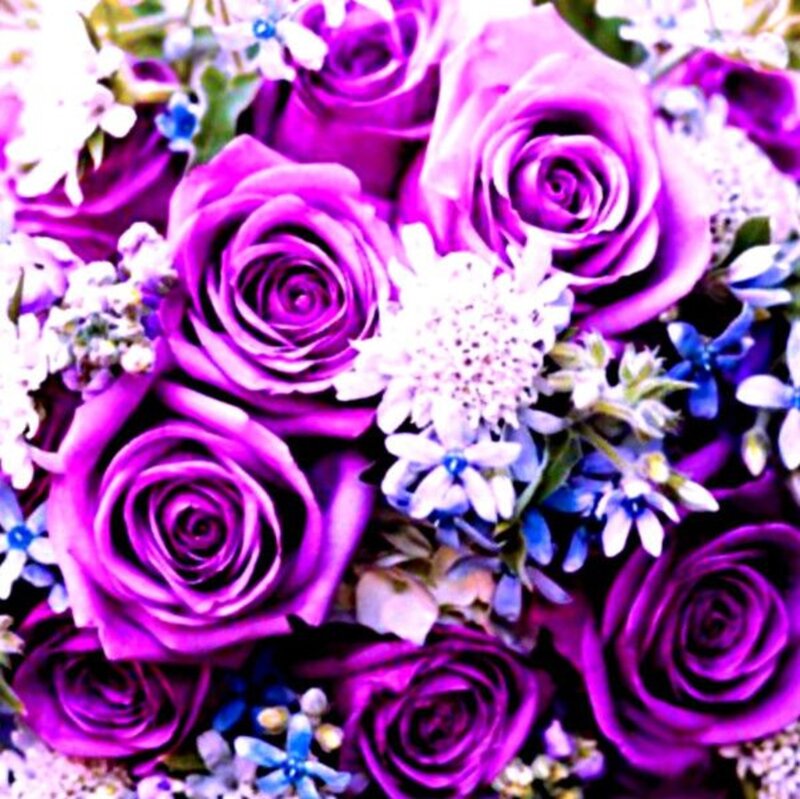 Purple Roses Bouquet — Calm