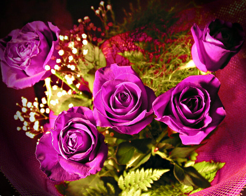Purple Roses Bouquet — Dramatic, Night