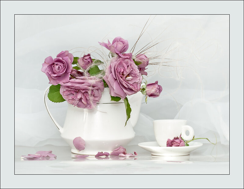 Purple roses in a white pitcher