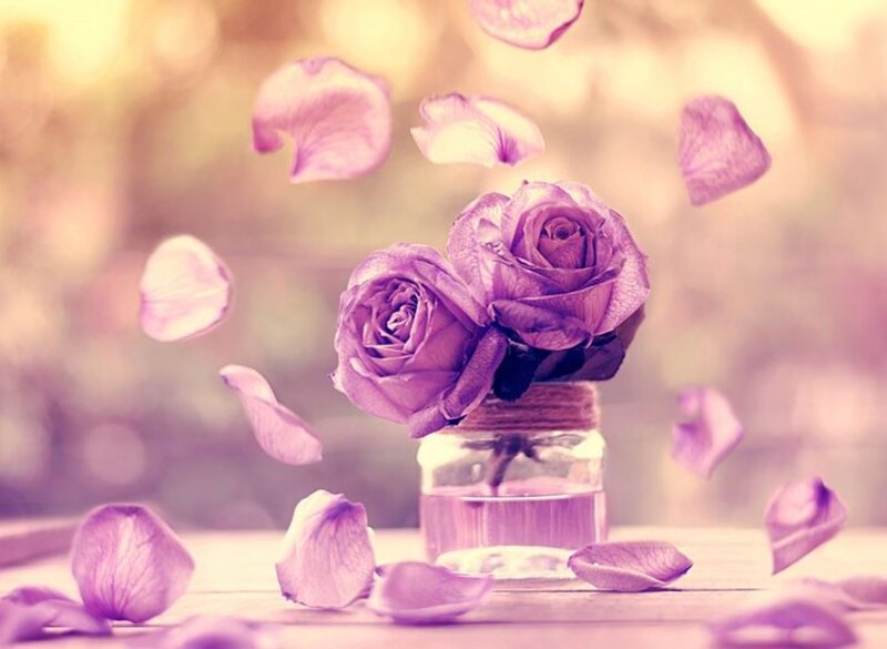 Purple Roses in Jar