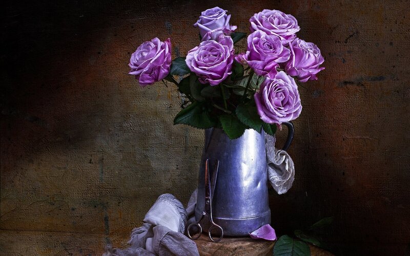 Purple Roses in Pitcher — Dramatic
