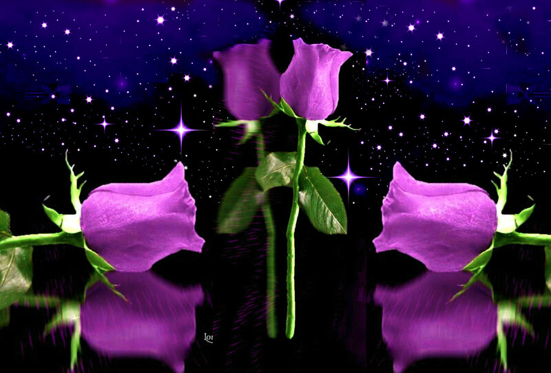 Purple Roses in Starry Night