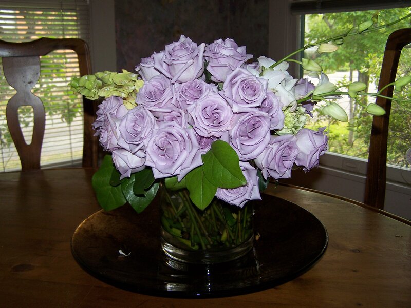 Purple Roses in Vase — Calm, Afternoon
