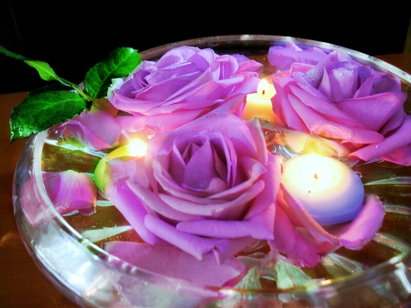 Purple Roses in Water — Serene