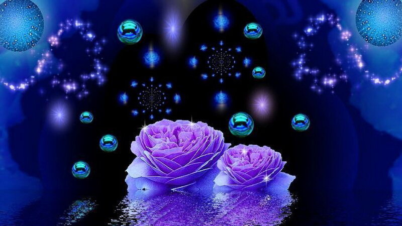 Purple Roses in Water