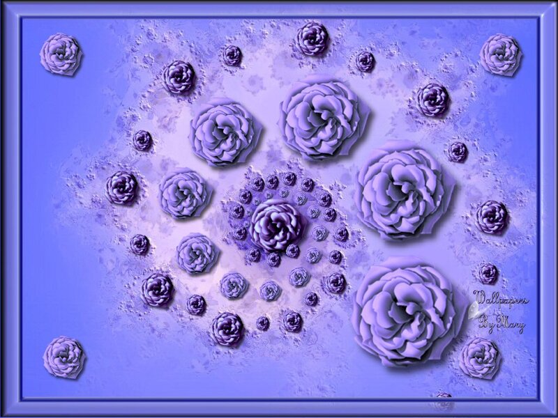 Purple Roses on Blue