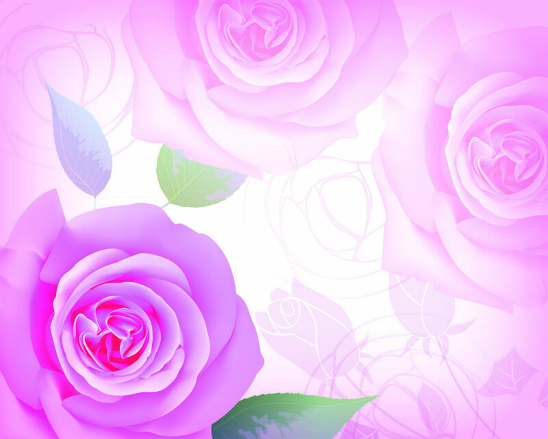 Purple Roses on Pink